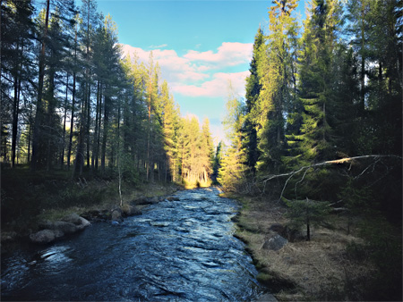 flussdeslebensschwedenteflonmenschen