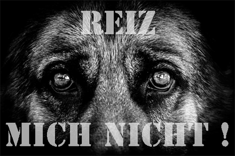 reiz mich nicht