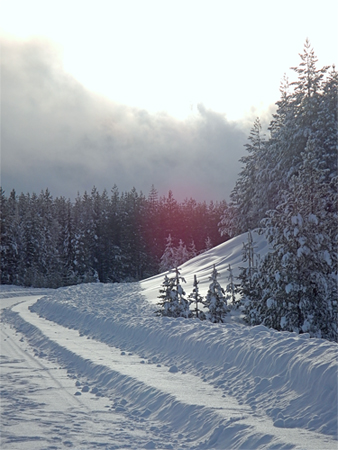 schneeweg