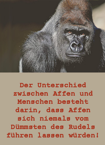 unterschied_affe_mensch2022